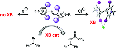 Towards redox-switchable organocatalysts based on bidentate halogen bond donors
